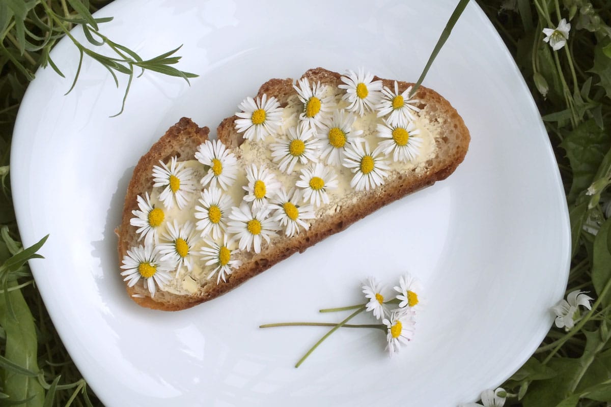 Gaensebluemchen-Brot - Frühlingsgerichte
