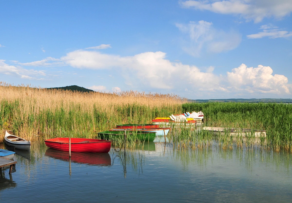 Boote am Schilf im Plattensee im Sommer