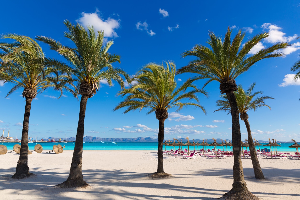 Alcudia Beach auf Mallorca