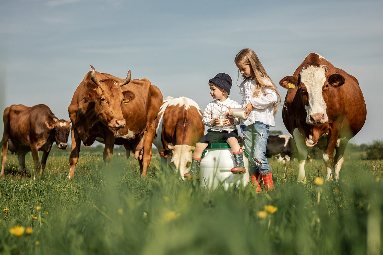 Kinder auf einer Wiese mit Kühen