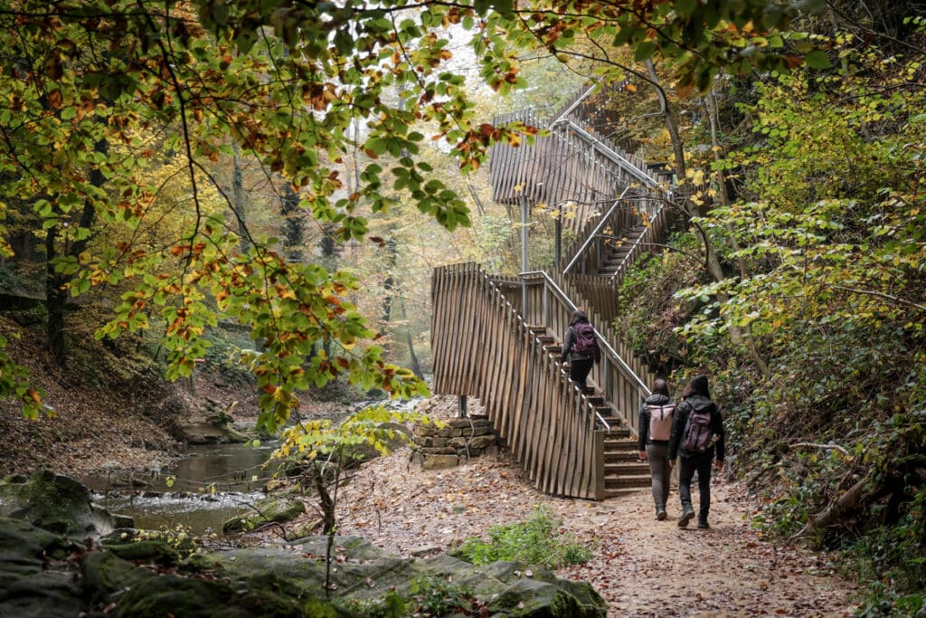 Mullerthal-Wandern