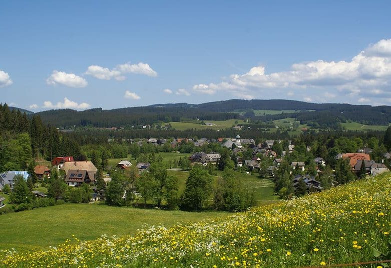 Blick auf Hinterzarten im Schwarzwald im Sommer