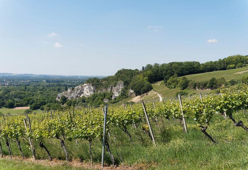 Blick auf Istein Weinberge und Isteiner Klotz in Baden-Württemberg, die zur Gemeinde Efringen-Kirchen gehöre