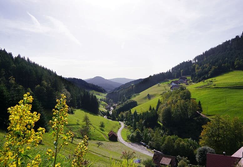 Bad Peterstal-Griesbach, Bad Peterstal Griesbach, Ortenau, Renchtal, Baden-Württemberg, Natur, Landschaft, Wanderweg, Himmelssteig, Häuser, Sommer, Hügel, Wiese, Tal