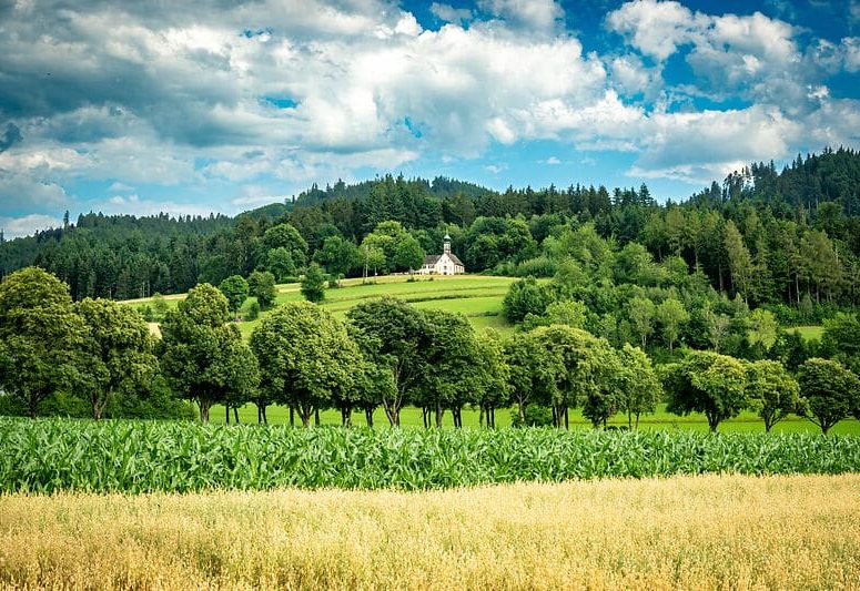 Landschaft um Kirchzarten im Frühsommer