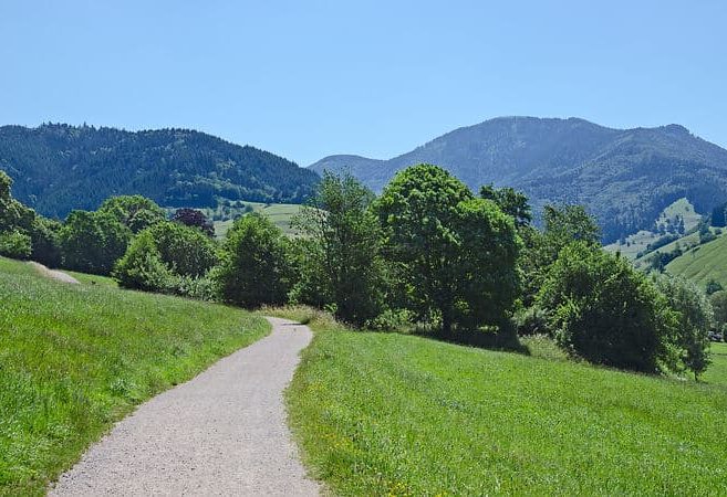Weg im Schwarwälder Münstertal im Sommer
