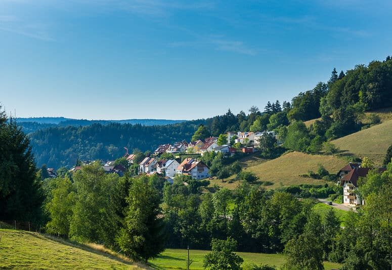 Blick auf Elzach im Schwarzwald im Sommer