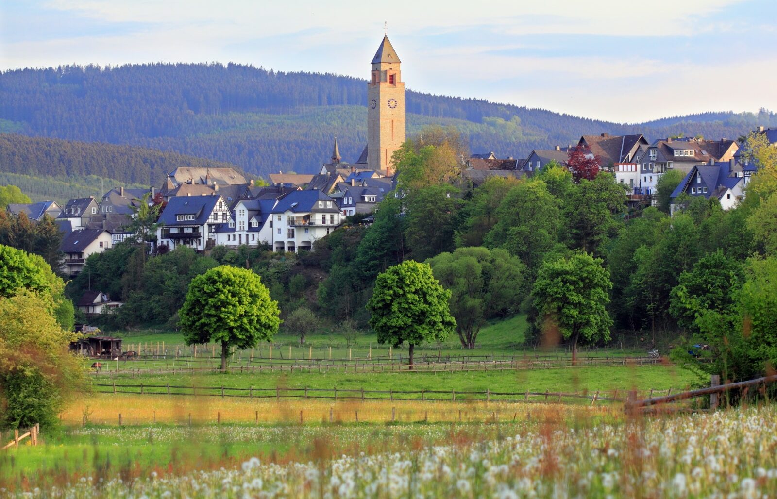 Blick auf Schmallenberg im Sommer