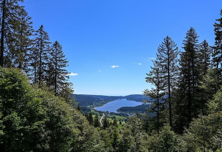 Blick auf den Schluchsee im Schwarzwald
