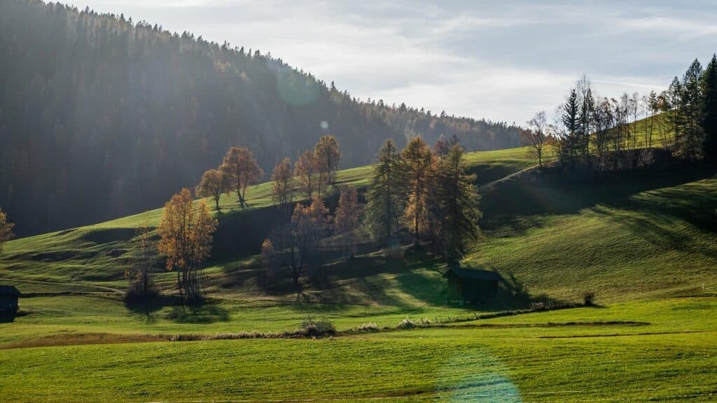 Wiesen, Wald und Hügel