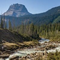 Fluß durch bewaldete Landschaft vor markantem Berggipfel im Yoho Nationalpark in Kanada