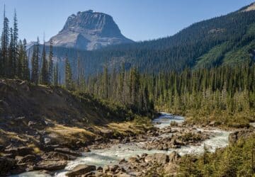 Fluß durch bewaldete Landschaft vor markantem Berggipfel im Yoho Nationalpark in Kanada