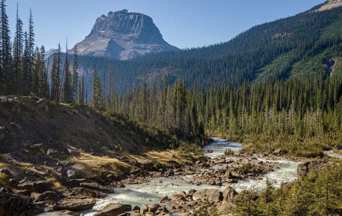 Fluß durch bewaldete Landschaft vor markantem Berggipfel im Yoho Nationalpark in Kanada