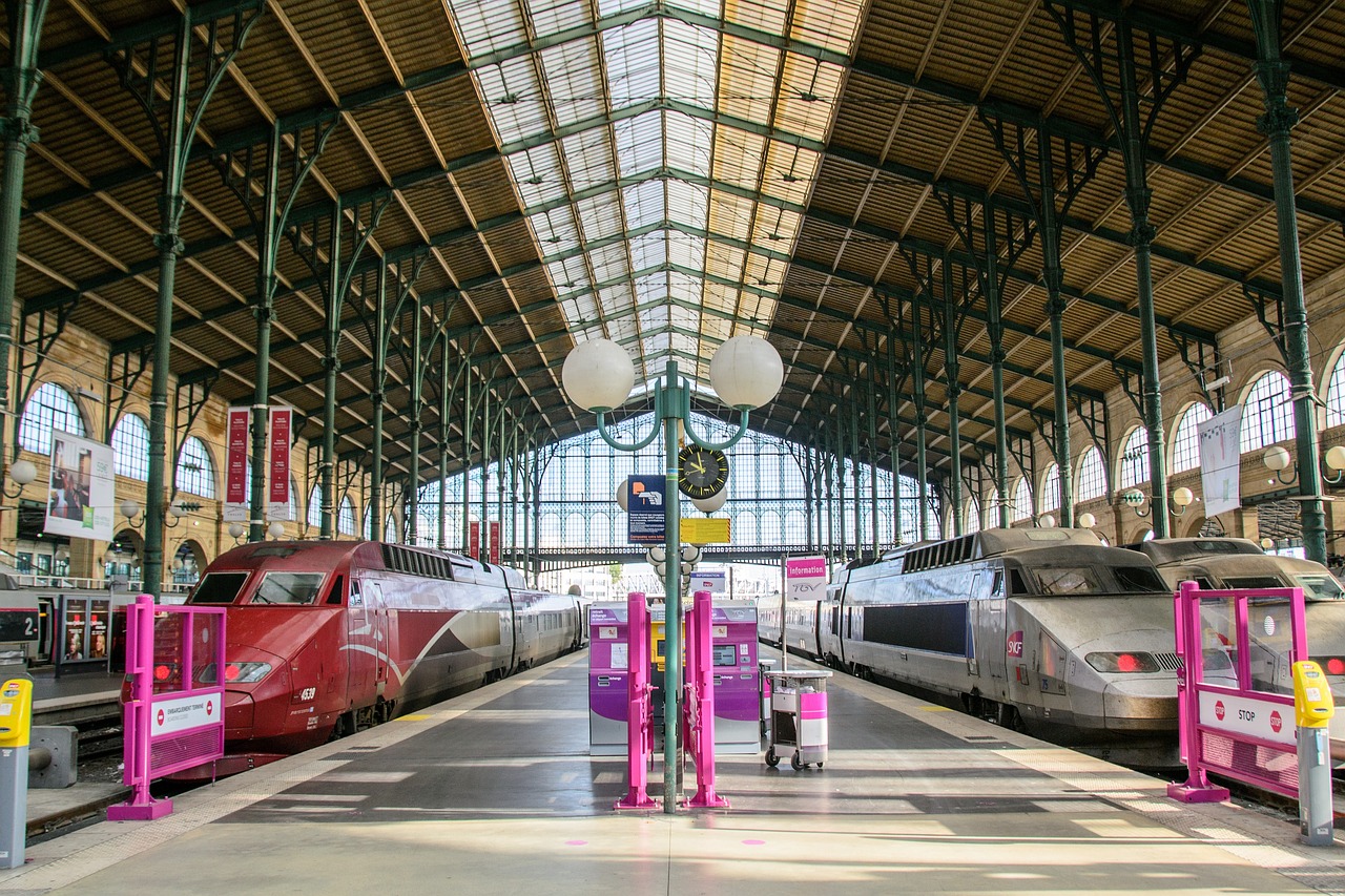 Bahnhof in Paris auf 2 Gleisen stehen Züge.