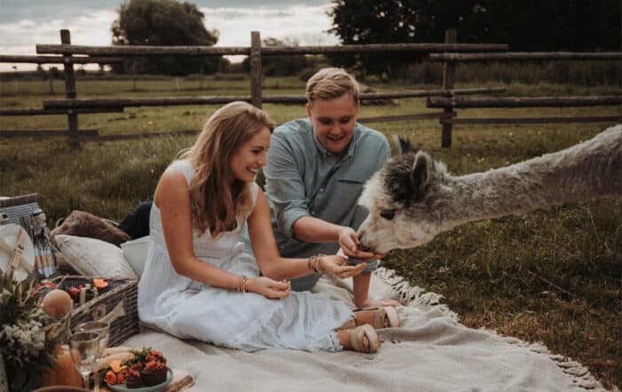 Picknick_Alpaka