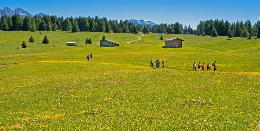 Die besten Wanderungen in Südtirol: Ein Paradies für Naturfreunde