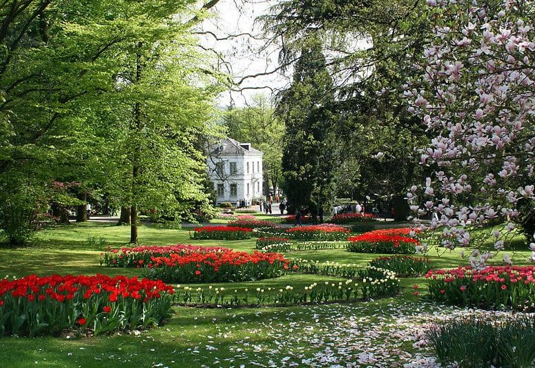 Stadtpark in Lahr im Frühling
