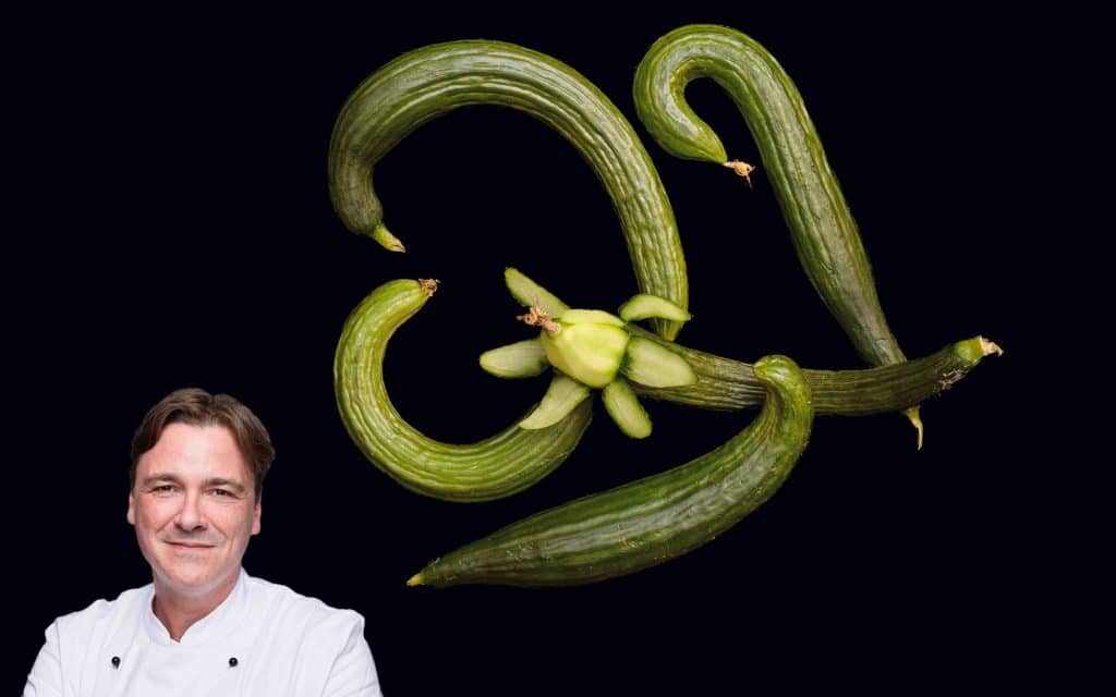 Die letzte ehrliche Gurke, vom Mut, beim Kochen nicht allen gefallen zu wollen