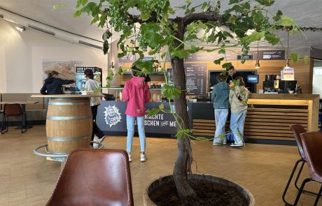 Herr Kächele Tagesbar Gänsheide, innen Herr Kächele Tagesbar Gänsheide, innen