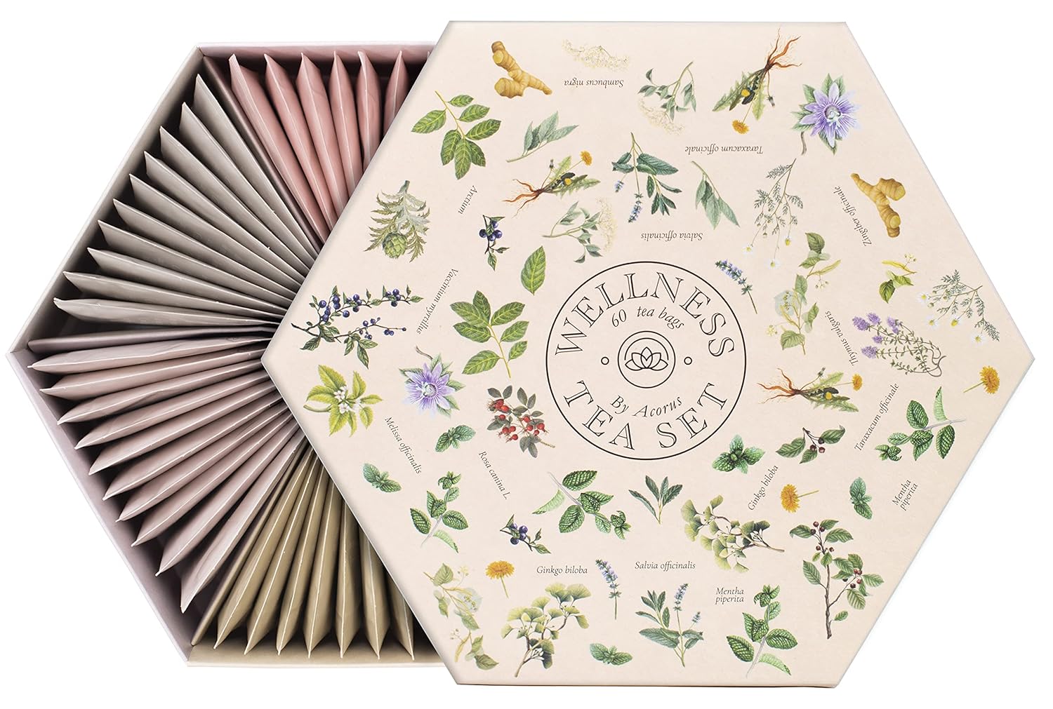 ACORUS | Wellness Tee Set - Natürliche Teeauswahlbox mit 6 Geschmacksrichtungen