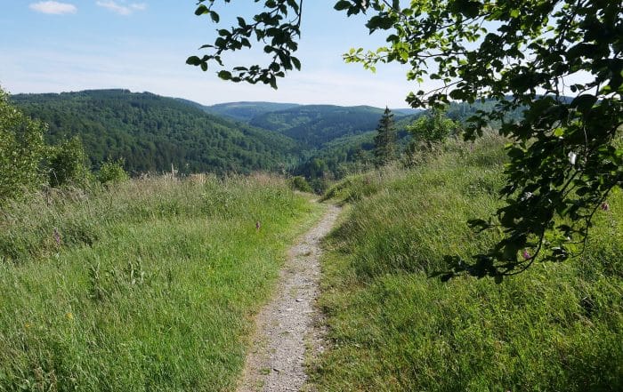 Wanderpfad mit Aussicht am Rothaarsteig im Sauerland