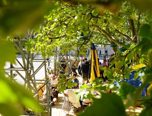 Zwischen Baumkronen und Bahnhofsflair: Münchens neuer Treffpunkt heißt BUCHBERG