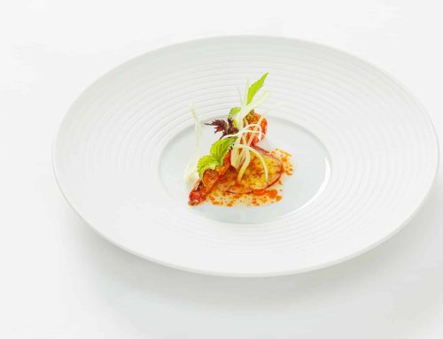 Carabinero | Zitrusfrüche | Shiso | Fenchel
