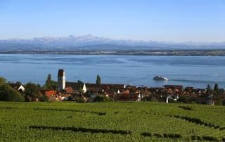 Blick über grüne Weinreben auf Hagnau un den Bodensee,mit Fährschiff im Hintergrund sieht man die Alpen