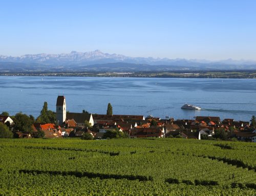 Zwischen Reben, See und Alpenblick: Die zehn spannendsten Weingüter am Bodensee
