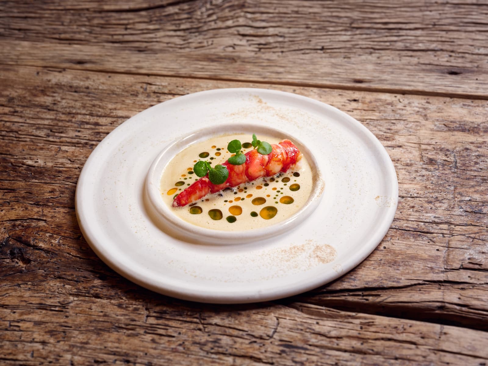 Foodbild von Spitzenkoch Dominik Paul - Carabinero Shiitake Verjus