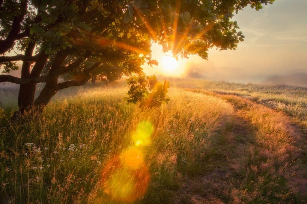 Die 10 schönsten Fotospots für Sonnenaufgänge in Deutschland