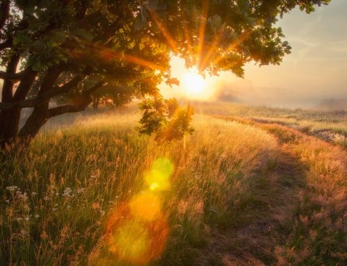 Die 10 schönsten Fotospots für Sonnenaufgänge in Deutschland