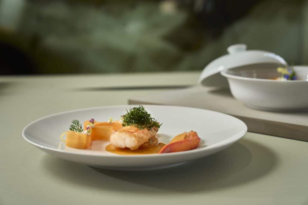 Langoustine Royal Fermentierte Karotte | Salzzitrone