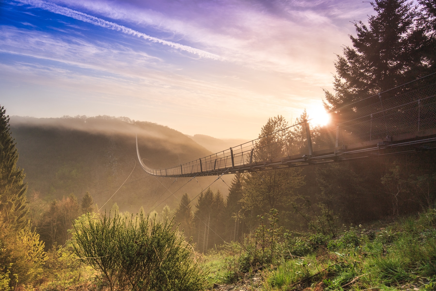 Geierlay Hängebrücke in der Morgensonne