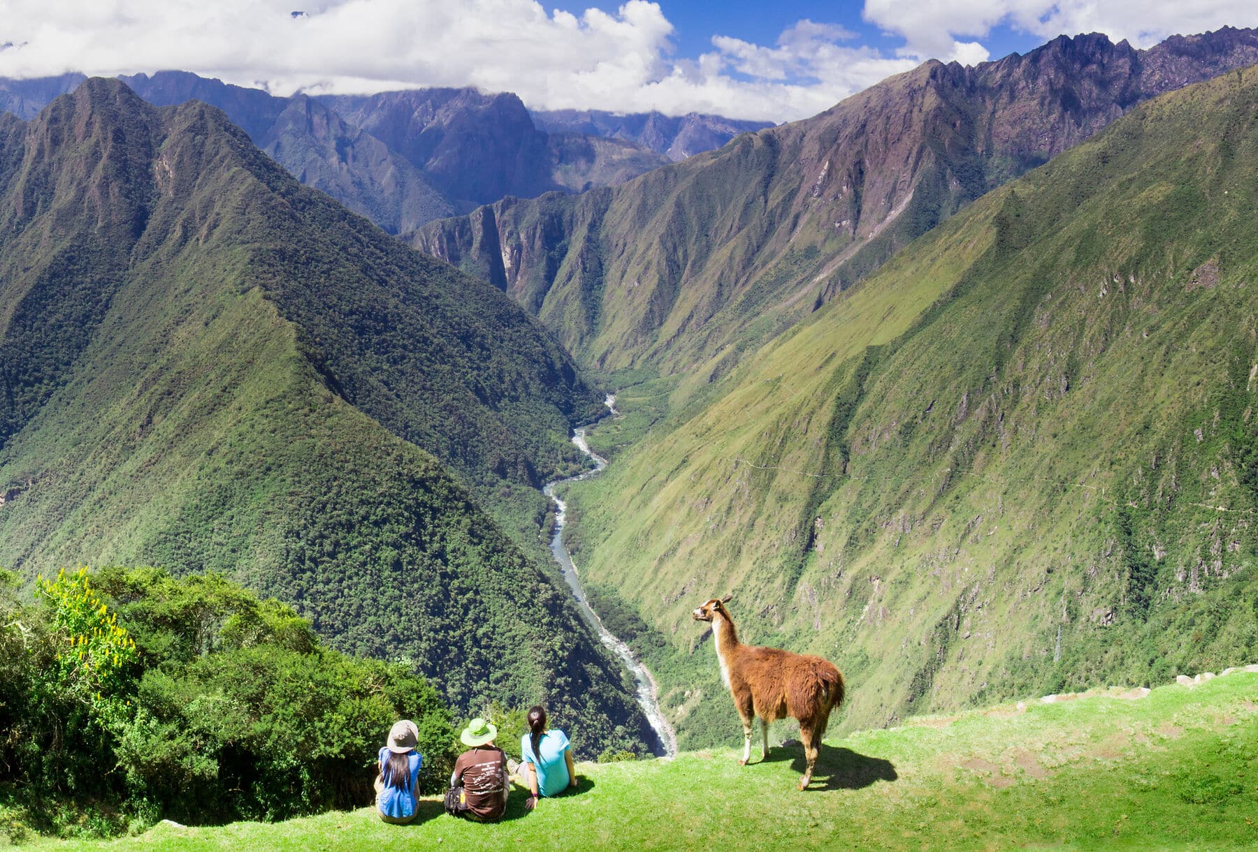 Llama and people gaze out from the Inca trail over a verdant valley in Peru.