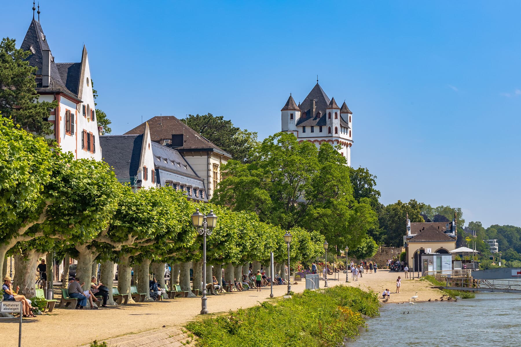 Rheinpromenade mit dem Turm der Kurfürstlichen Burg in Eltville am Rhein Rheinpromenade mit dem Turm der Kurfürstlichen Burg in Eltville am Rhein im Sommer