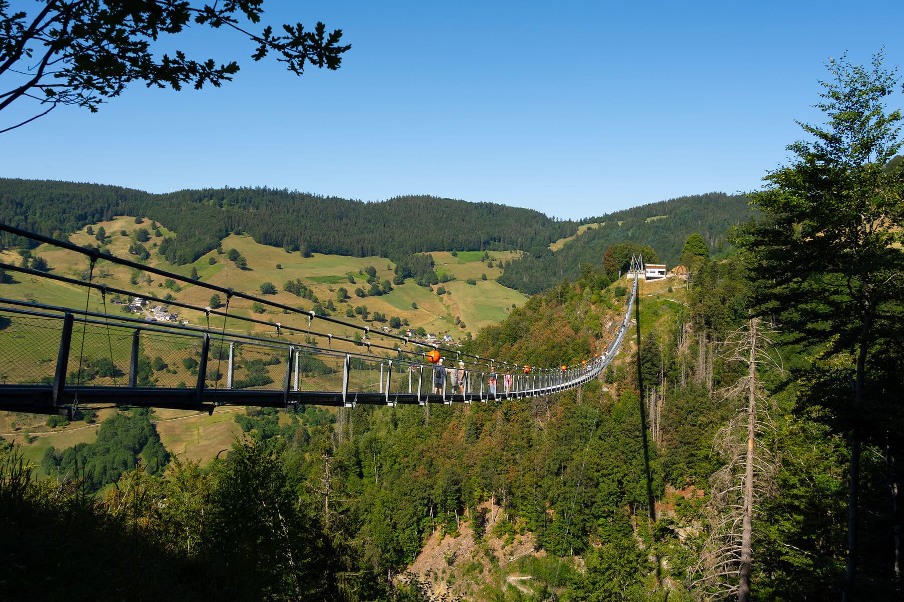 Hängebrücke am Todtnauer Wasserfall im Schwarzwald