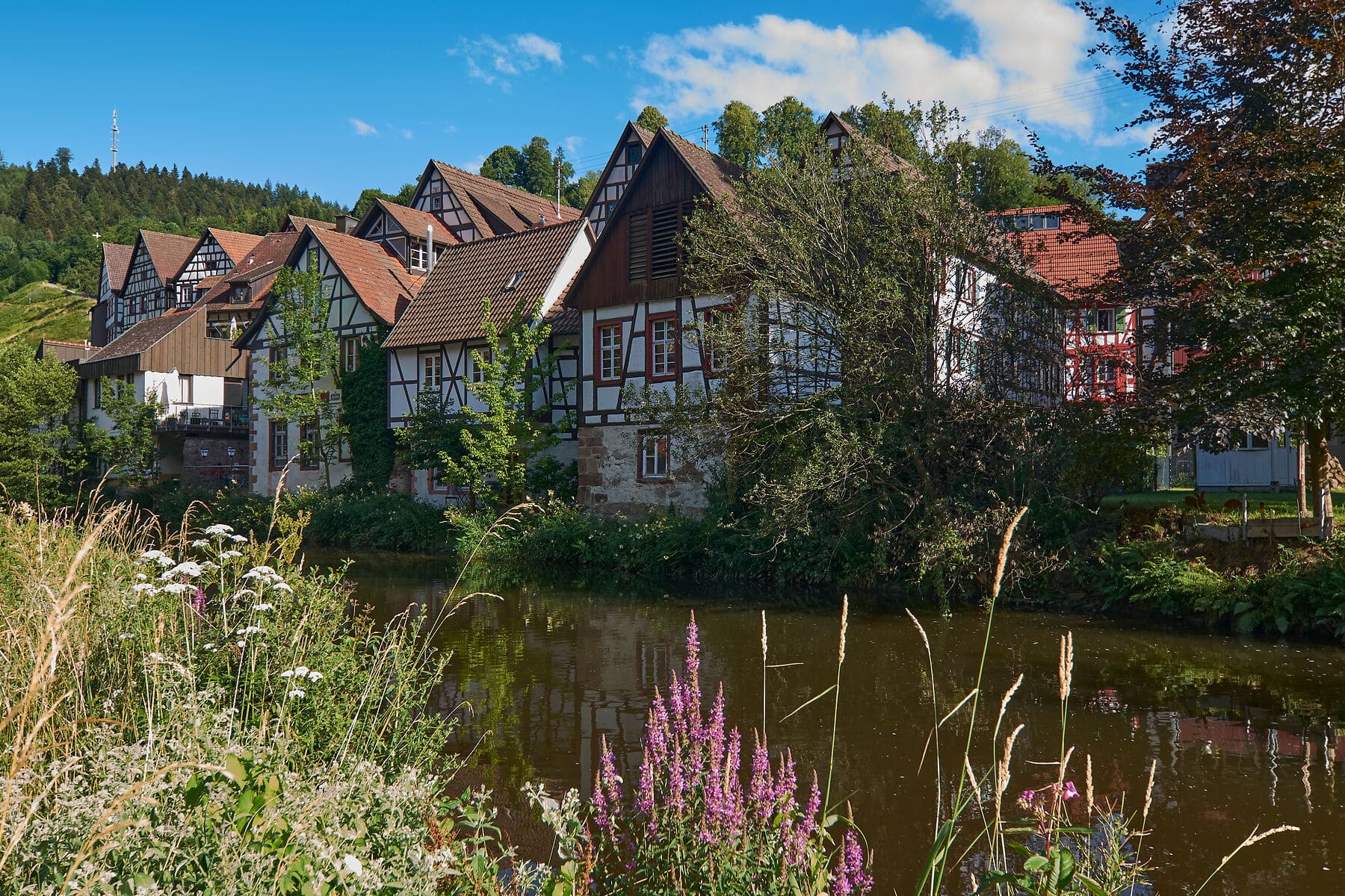 Schiltach im Schwarzwald Idyllischer blick auf die Fachwerkhäuser in Schiltach über den Fluss fotografiert im Sommer