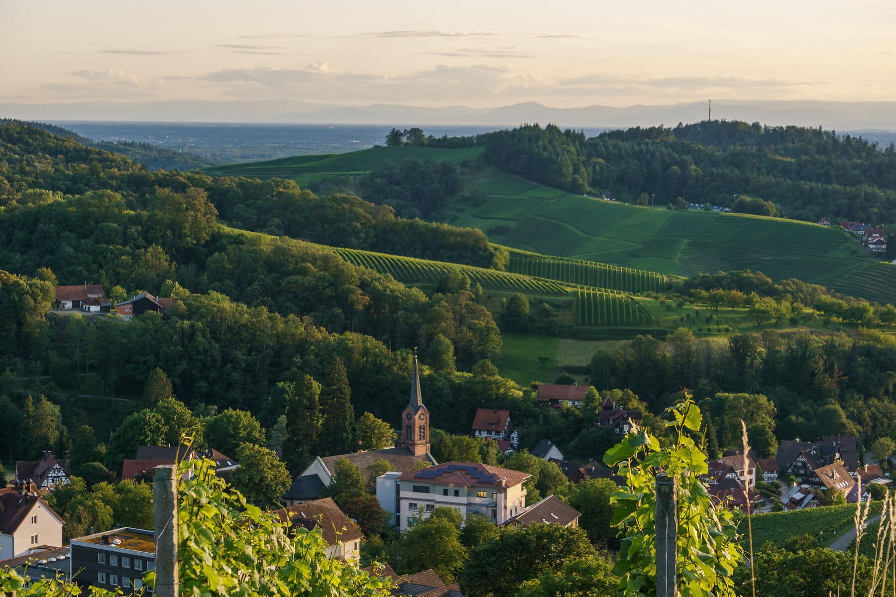 Golden sunset over beautiful landscape with the wine fields of the Black Forest, Sasbachwalden, Germany goldener Sonnenuntergang über den Weinbergen und Sascbachwalden im Schwarzwald