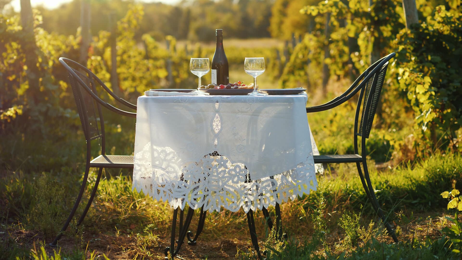 A table with a bottle of wine and tails stands against the background of a vineyard. Place for romantic dates and wine tasting.