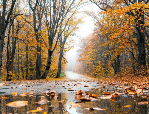 Sonne statt Stimmungstief: Wie Reisen in den Süden gegen den Winterblues helfen können