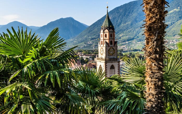 Blick auf Meran im Sommer mit Palmen im Vordergrund und grünen Bergen im Hintergrund