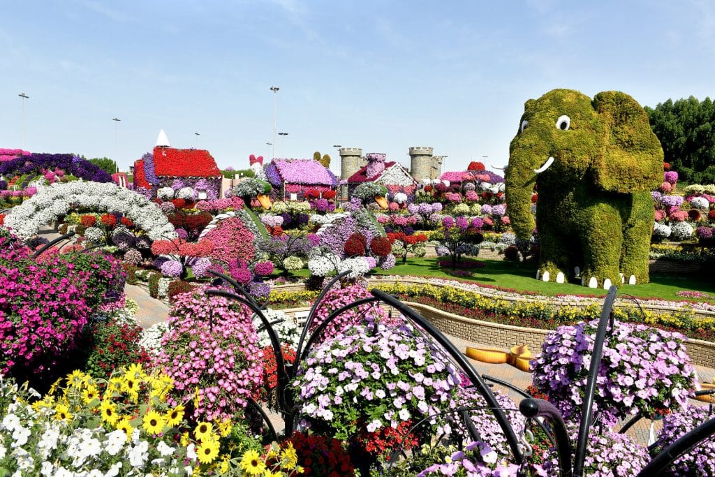Dubai Miracle Garden Dubai Miracle Garden