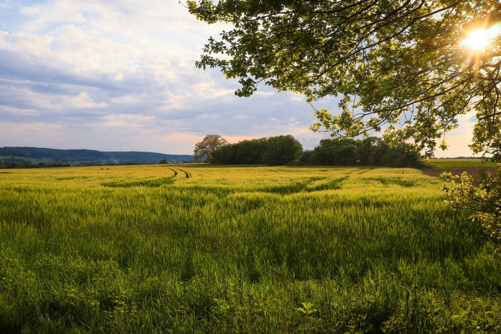 Die Biosphäre Bliesgau entdecken auf dem Bliessteig