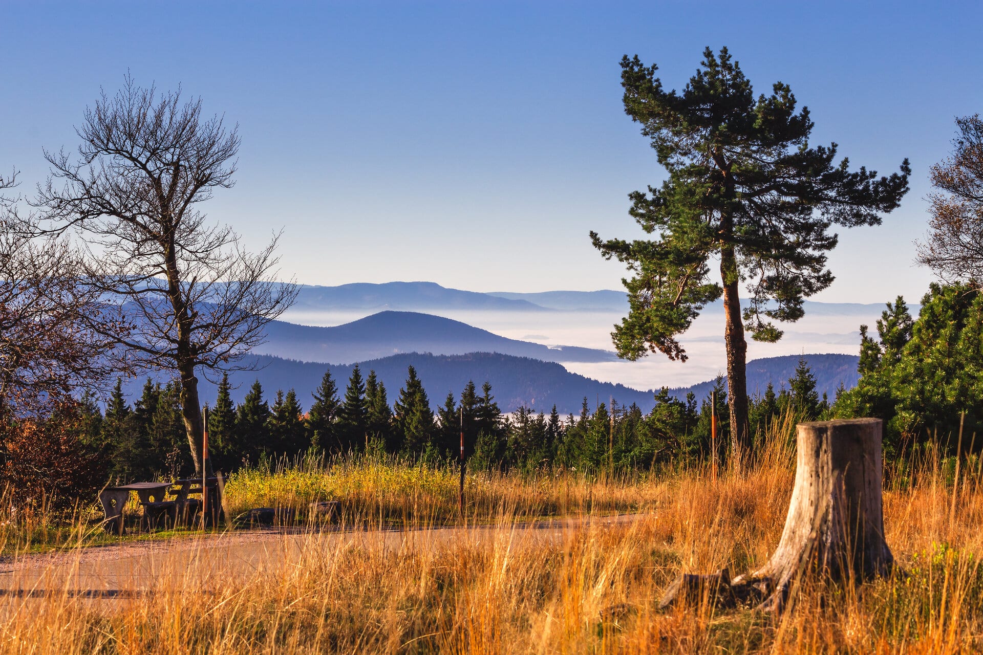 Blick über den Schwarzwald im Herbst bei Sonnenschein von der Schwarzwaldhochstraße in Nebeltäler