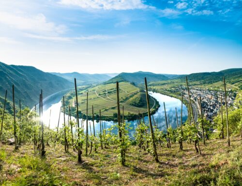 Auf den Spuren des Rebensaftes: Diese Regionen sollten Weinliebhaber besuchen