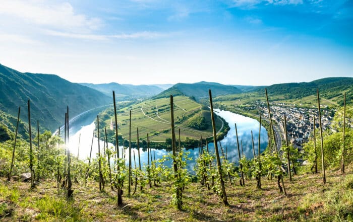 Weinberge an der Mosel