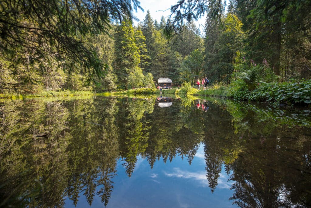 Bayern entdecken – Kultur, Städte und Naturgebiete