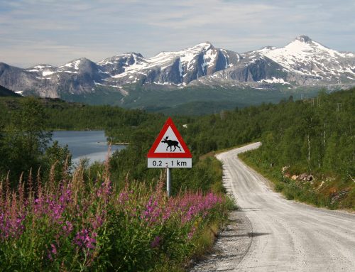 Offroad- & Roadtrip-Reisen mit dem Auto