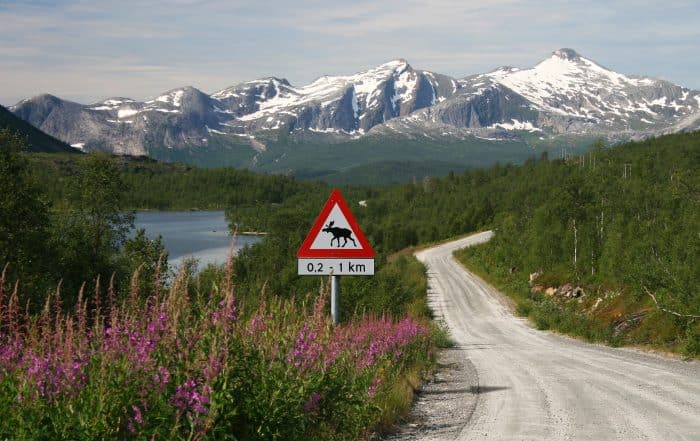 Schotterpist in Nornskandinavien mit Vorsicht Elche Schild und Berge im Hintergrund